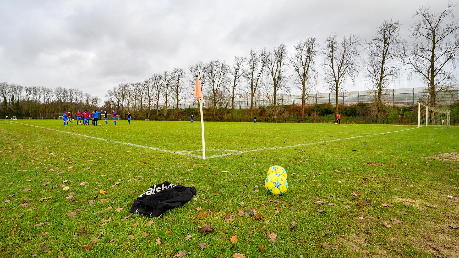 Elsweide Sportpark veld met attributen