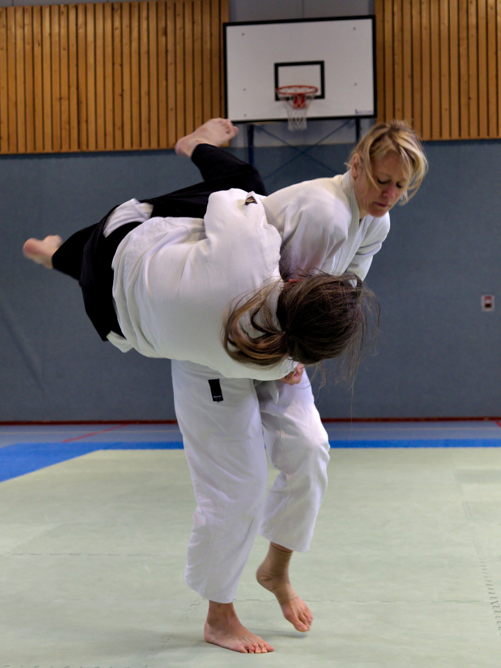 Aikido Jiki Shin Kan