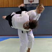Aikido Aikido Jiki Shin Kan