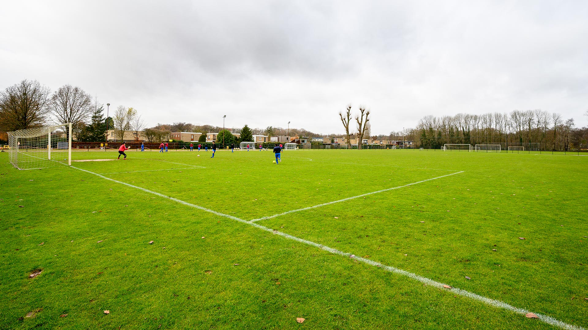 Elsweide Sportpark veld met spelers